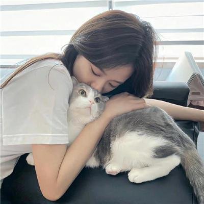 行窃大师