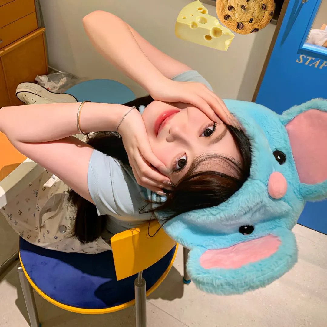 菜鸟总动员
